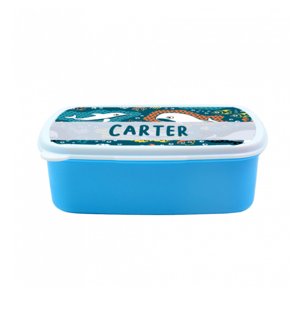 Custom Plastic Kids Lunch Box
