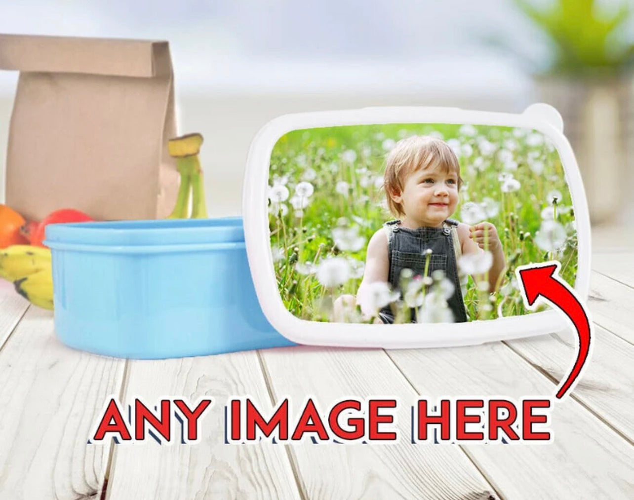 Custom Plastic Kids Lunch Box