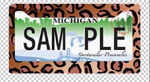 Custom License Plate and License Plate Frame - Family First Designs LLC